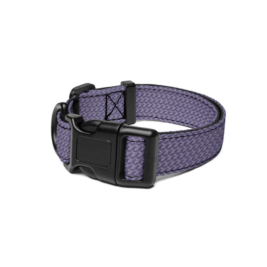 Pet Collar (Cornflower)