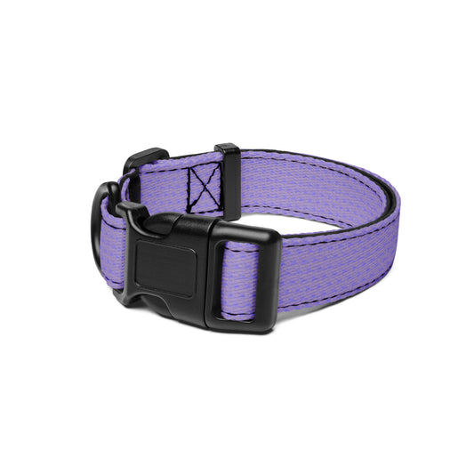Pet Collar (Daffodil)